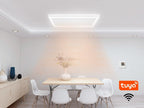 Byecold - Infraroodpaneel Plafond Verlichting met WiFi 700W